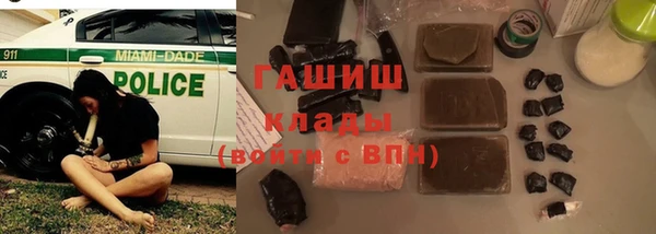 мет Няндома