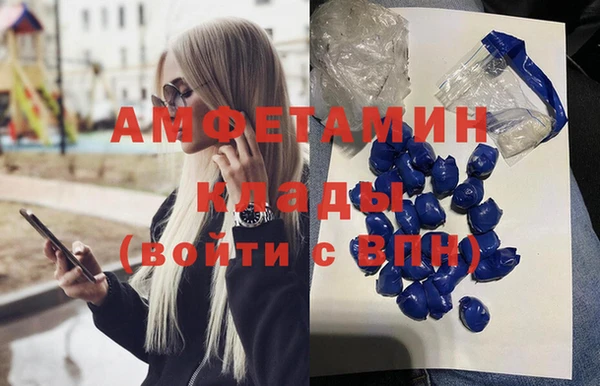 мет Няндома