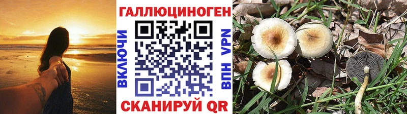 Псилоцибиновые грибы прущие грибы  сколько стоит  Куйбышев 