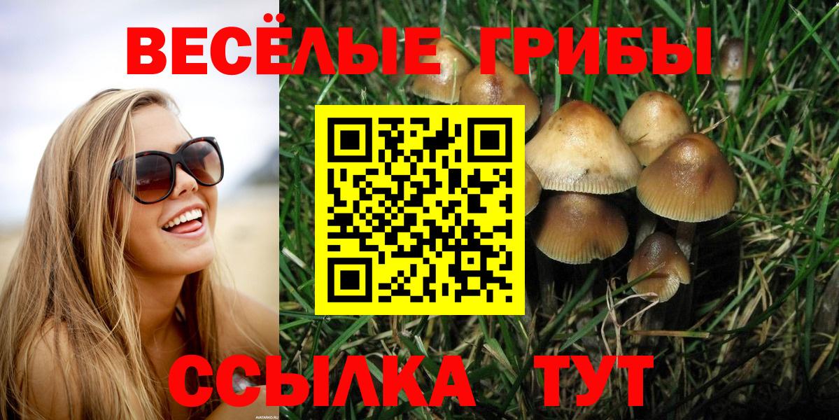  КОКАИН Куйбышев