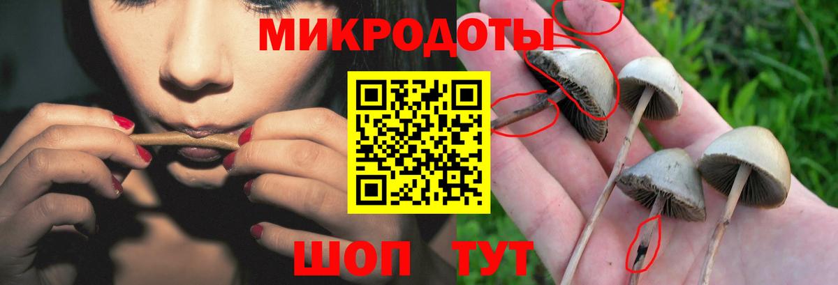 Псилоцибиновые грибы MAGIC MUSHROOMS  Вход с VPN  Куйбышев 