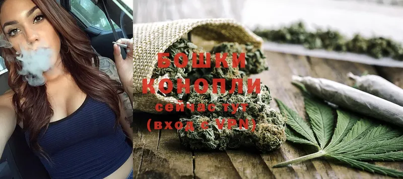 Конопля SATIVA & INDICA  Куйбышев 